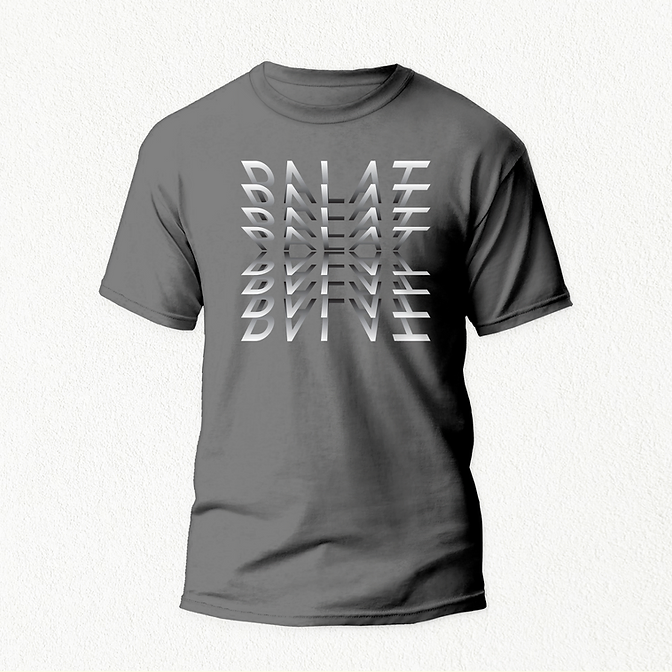 PALAT Unisex T-shirt grey
